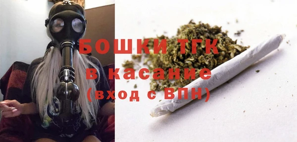 хмурый Алексин